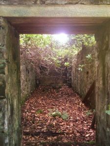 10527485_300683253449048_2171520250456484134_n