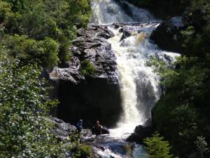 1613833_769834159745950_7980959671580177337_n