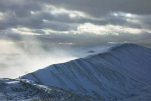 10947292_838301122878347_3259987453065958698_n