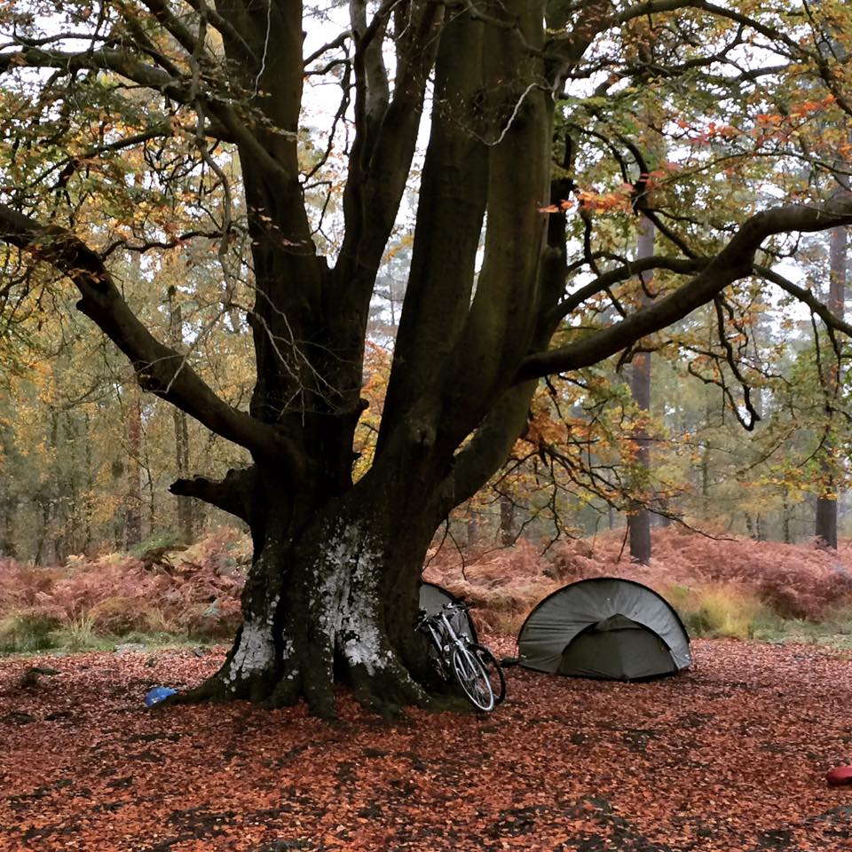 12065639_923238191063143_8710669884887412808_n