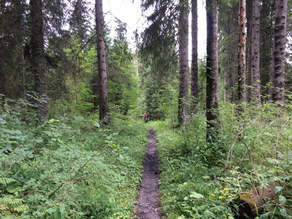 13872760_1186284248100937_6465379427910267305_n