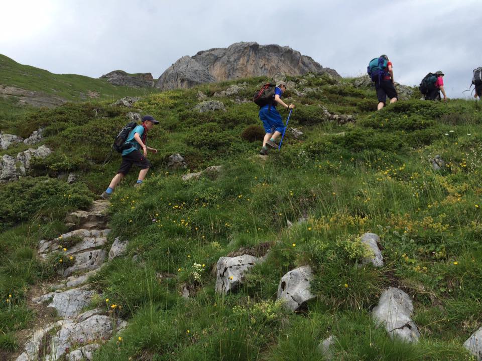 13876296_1186283691434326_2076023984250130926_n